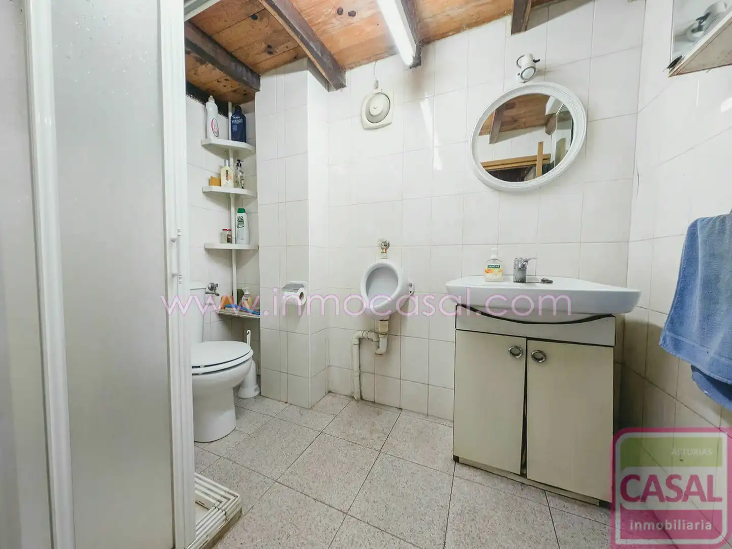 Bathroom of Houses for sale in Mieres (Asturias)  with Terrace and Storage room