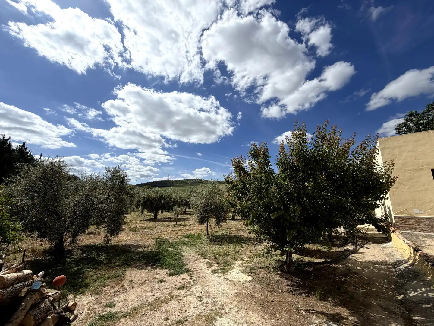 Vista exterior de Finca rústica en venta en Teba con Calefacción y Trastero