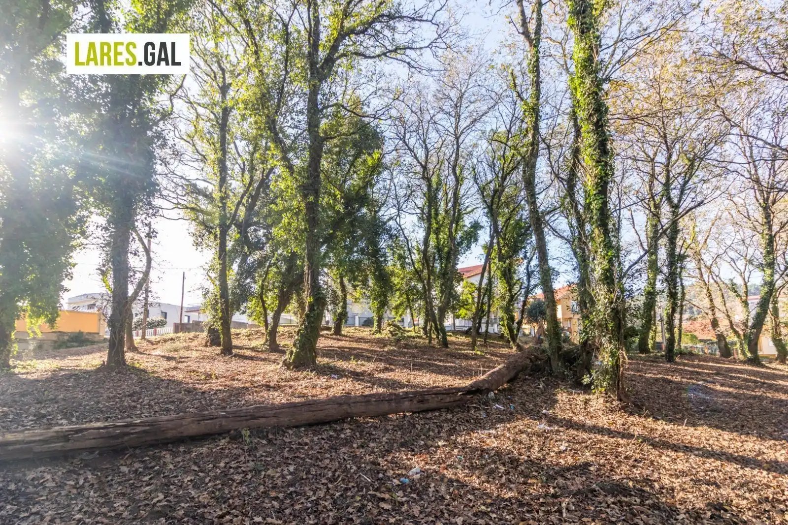 Lands and plots for sale in Rúa Ximeu, imagen 17
