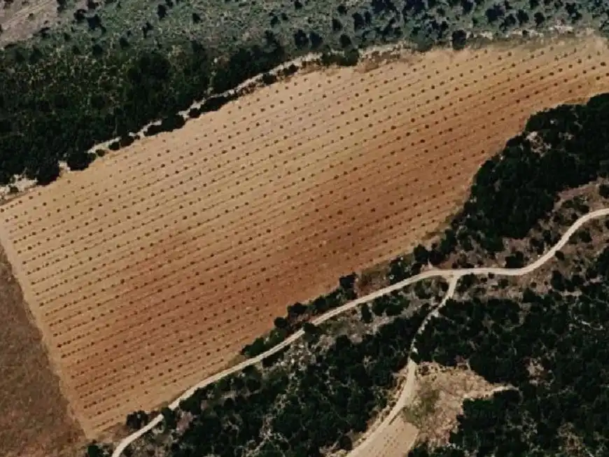 Terreno en venta en Fontanars dels Alforins