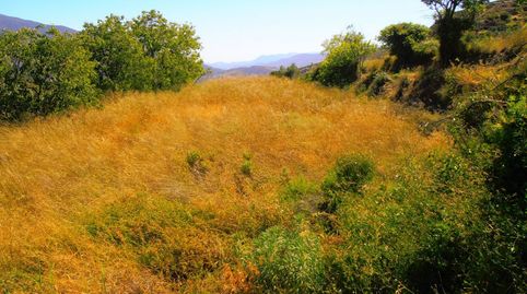 Finca Rúst. en venta en Polígonos., imatge 2