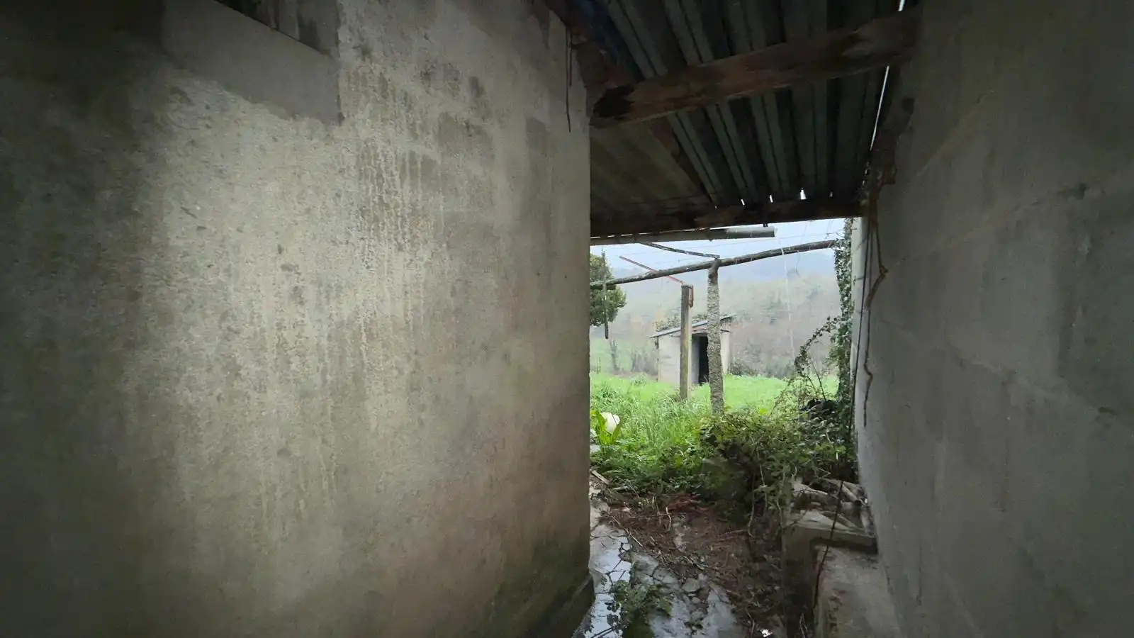 Vista exterior de Casa o xalet en venda en Celanova amb Jardí privat