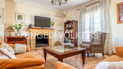 Photo 4 of Houses for sale in Castilleja del Campo, Sevilla