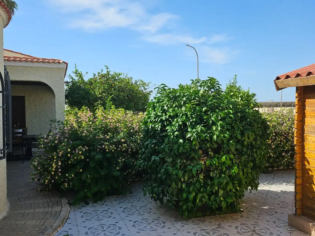 Villa mit Garten zum Verkauf in Camino del Campo 103, imagen 40
