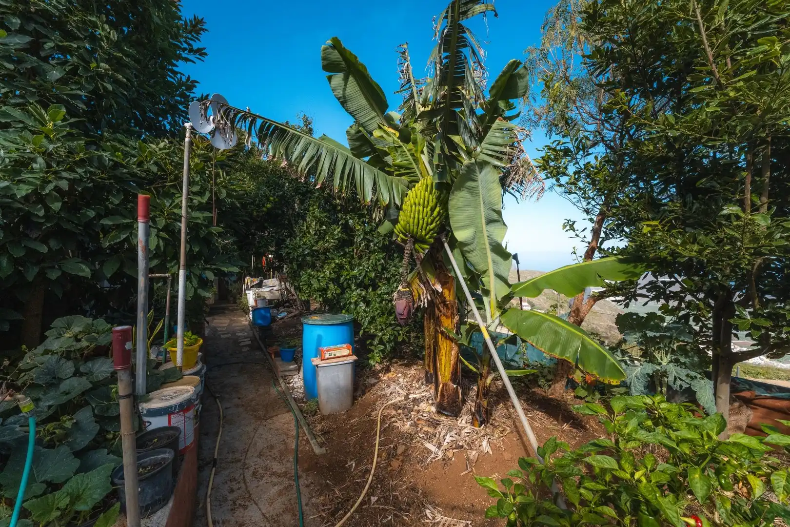 Garden of Country homes for sale in El Tanque