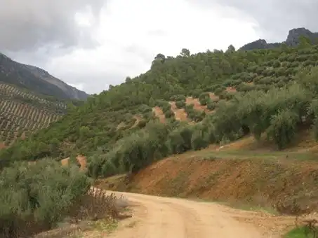 Terreni e lotti in vendita a Ptda Huerta del Cura - Polígono 42 -, imagen 7