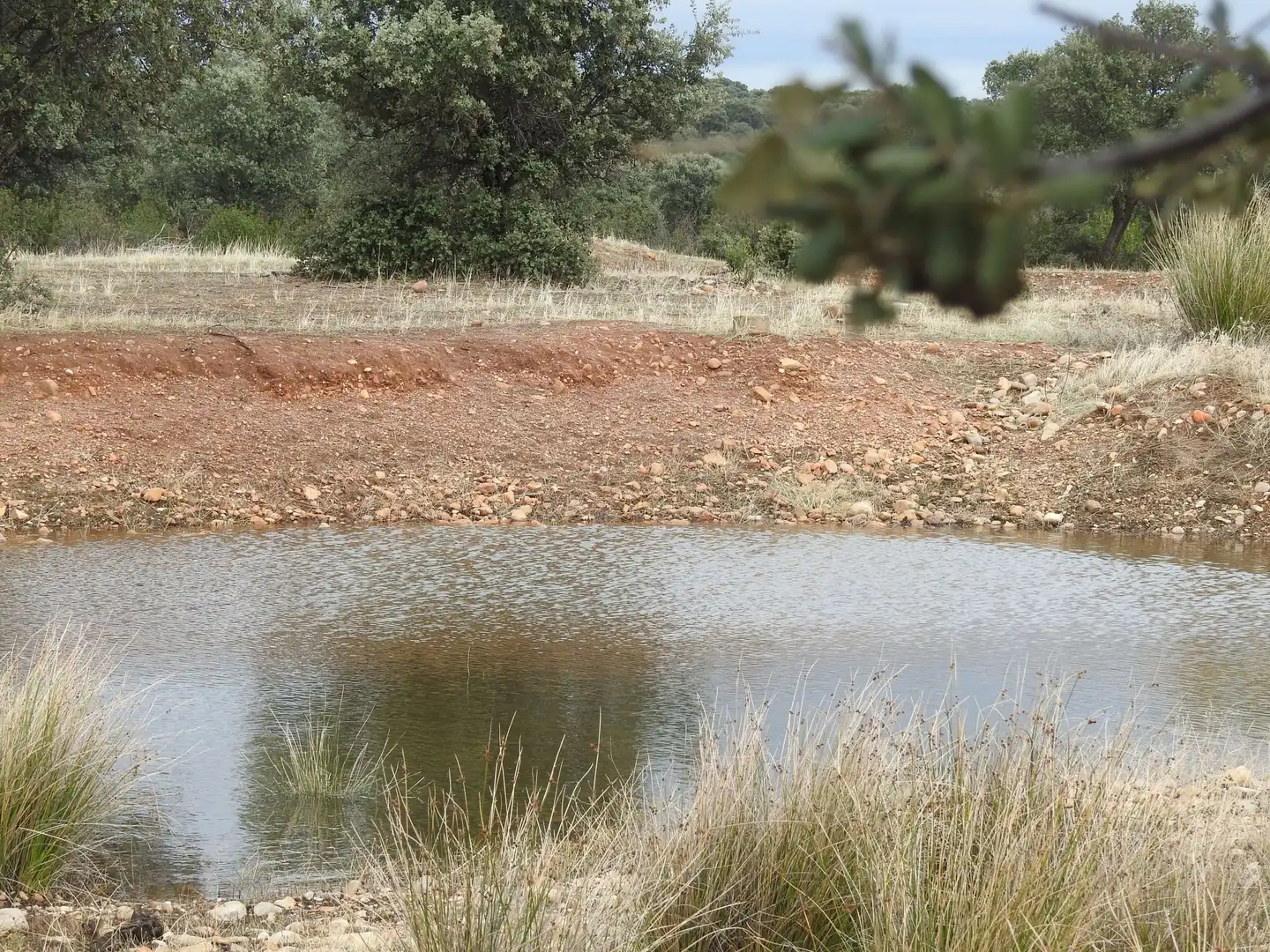 Terreni e lotti in vendita a Peraleda de la Mata, imagen 19