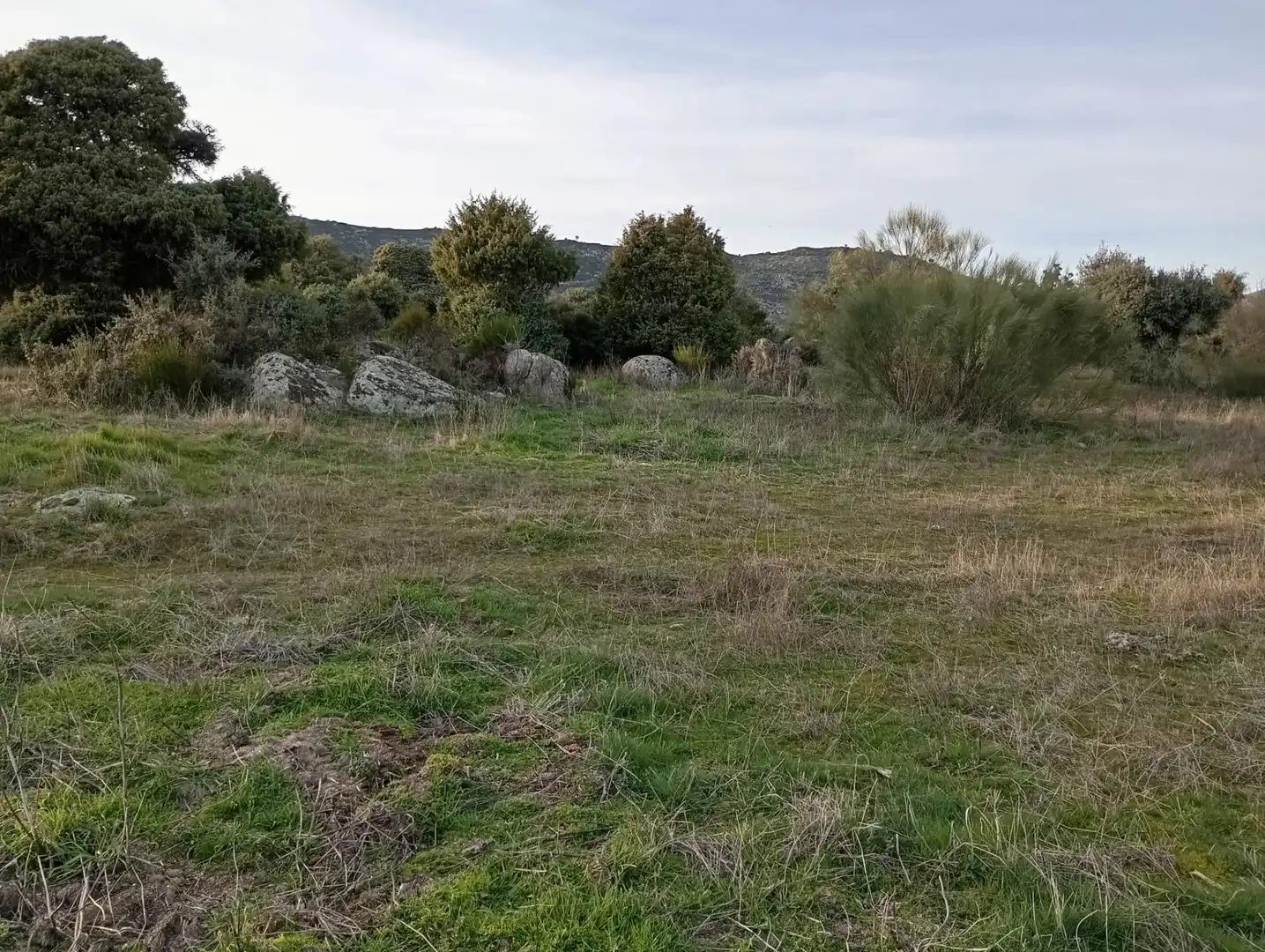 Terreno rustico in vendita a Fresnedillas de la Oliva, imagen 10