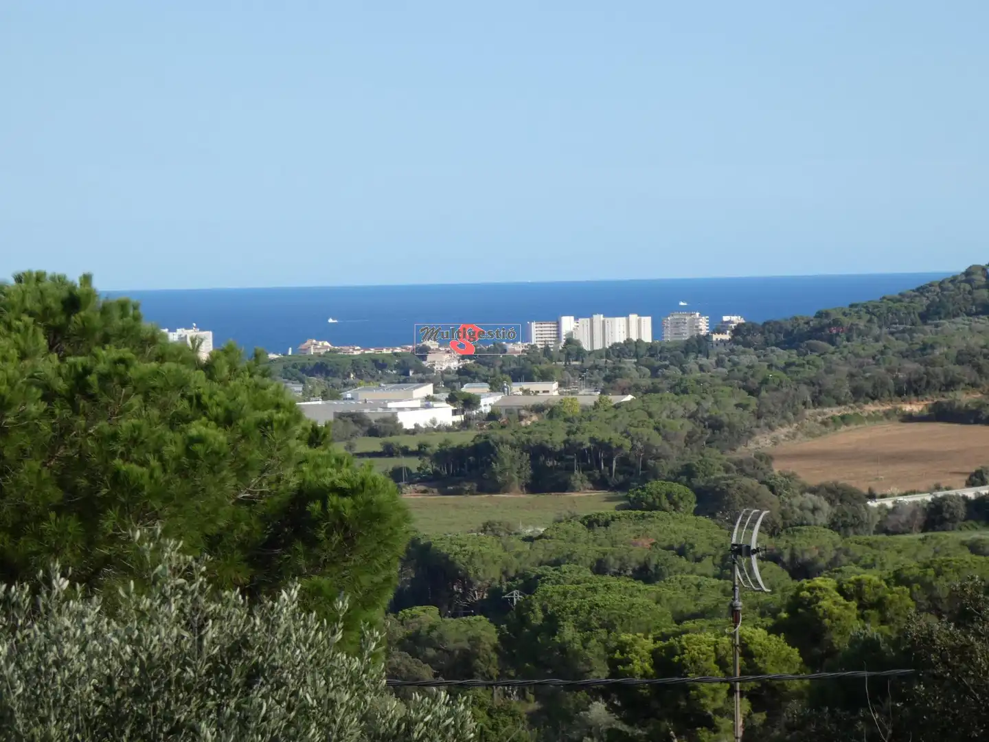 Terreny residencial en venda a Cabanyes - Mas Ambrós - Mas Pallí, imagen 4