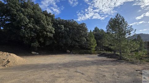 TrilloTerreno, immagine 5