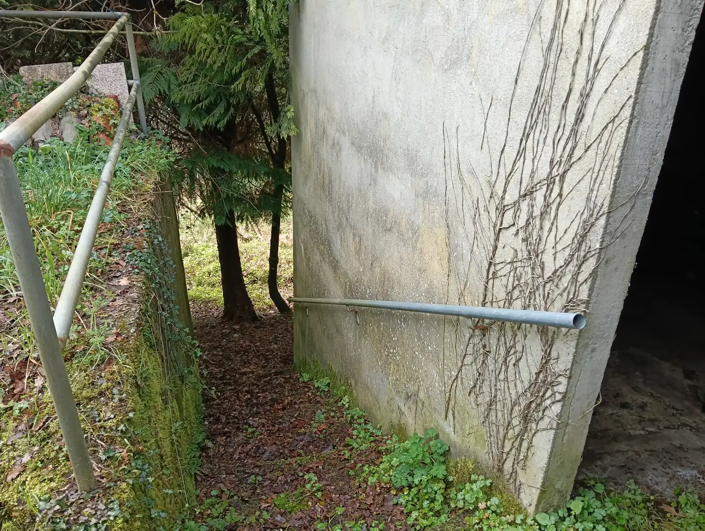 Adossat amb jardí en venda a Foro 55, imagen 55