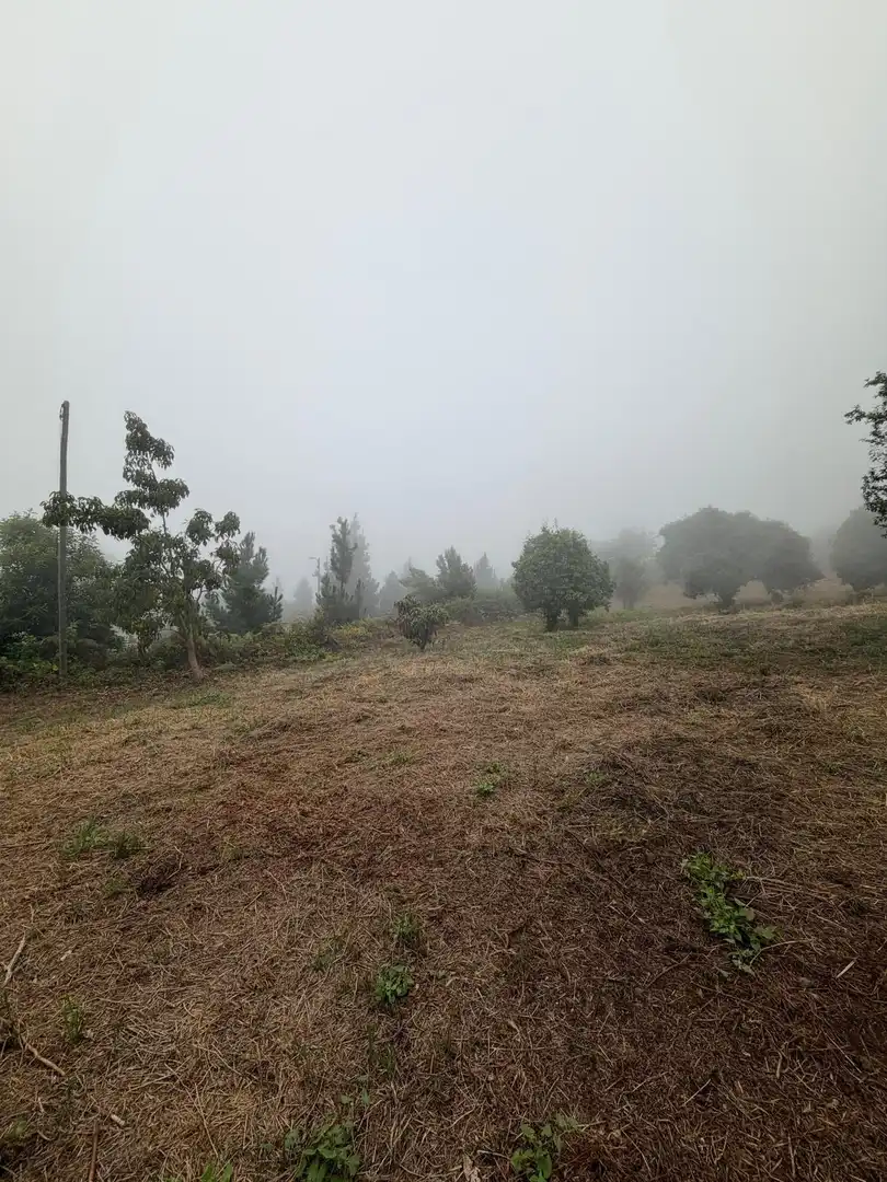 Terreno rustico in vendita a El Bebedero - Pinolere - Aguamansa, imagen 20