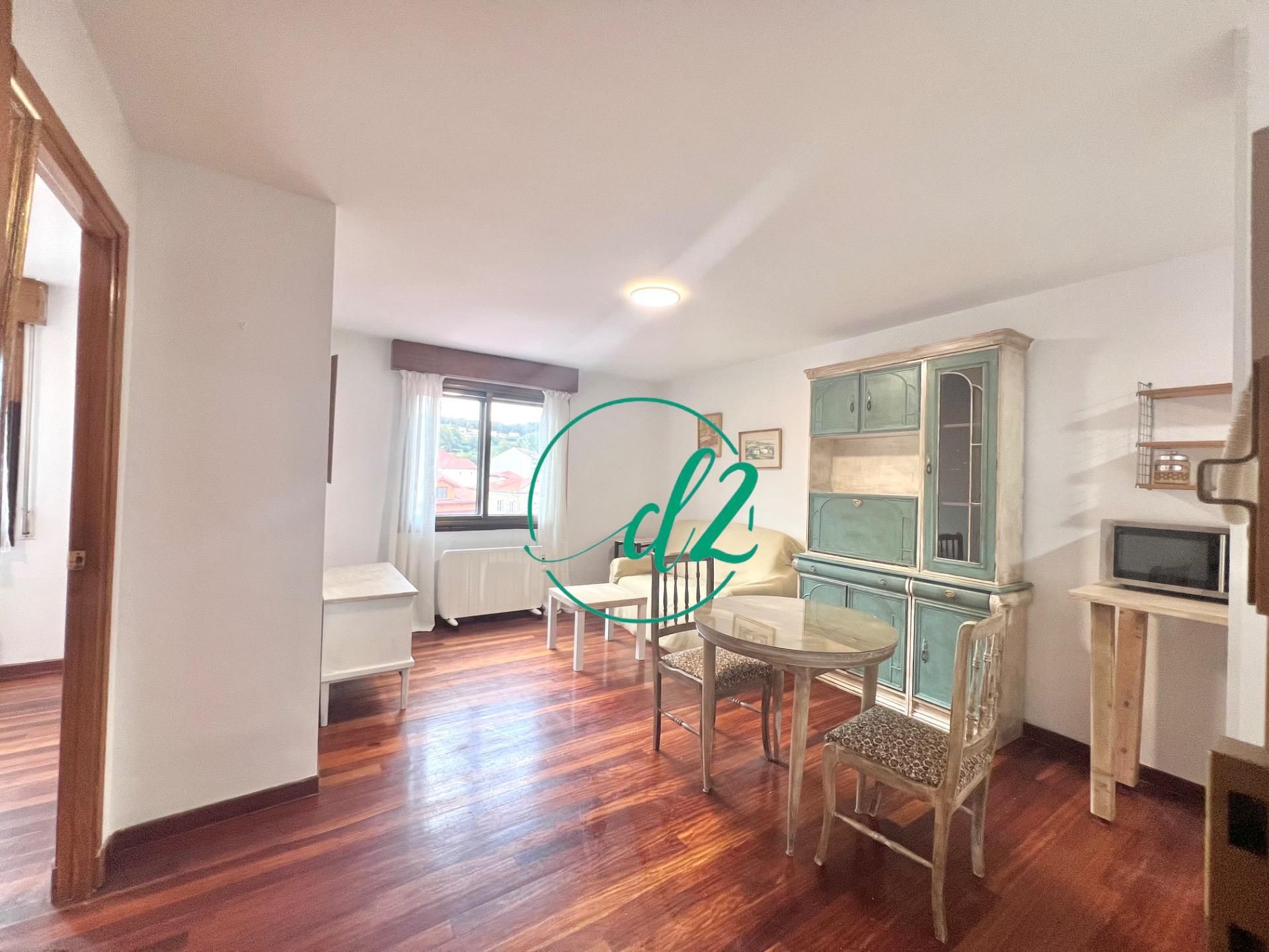 Sala d'estar de Estudi de lloguer en Celanova amb Calefacció i Parquet