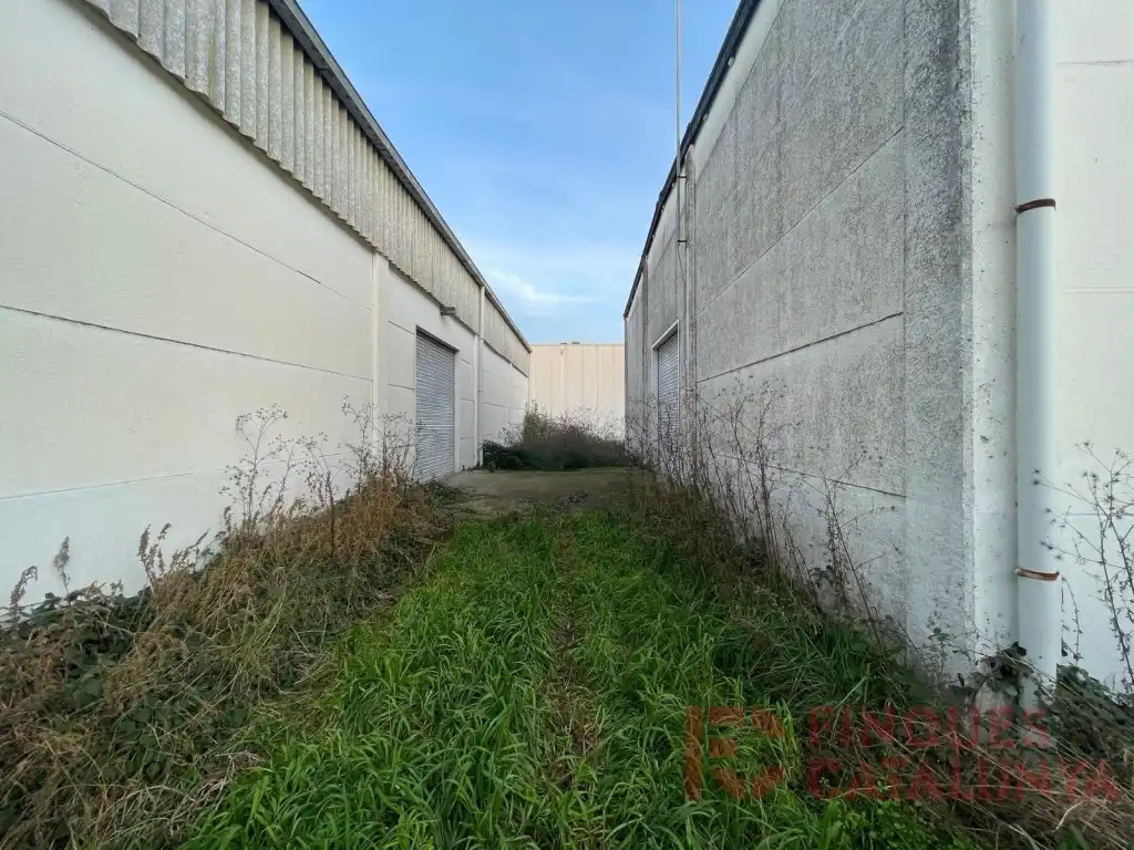 Nau industrial de lloguer a DEL MAS PINS, imagen 8