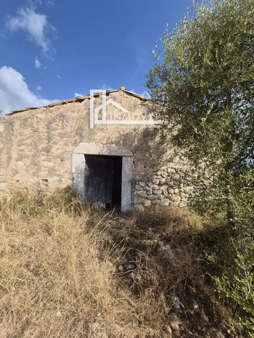Finca rústica en venda en Lloseta