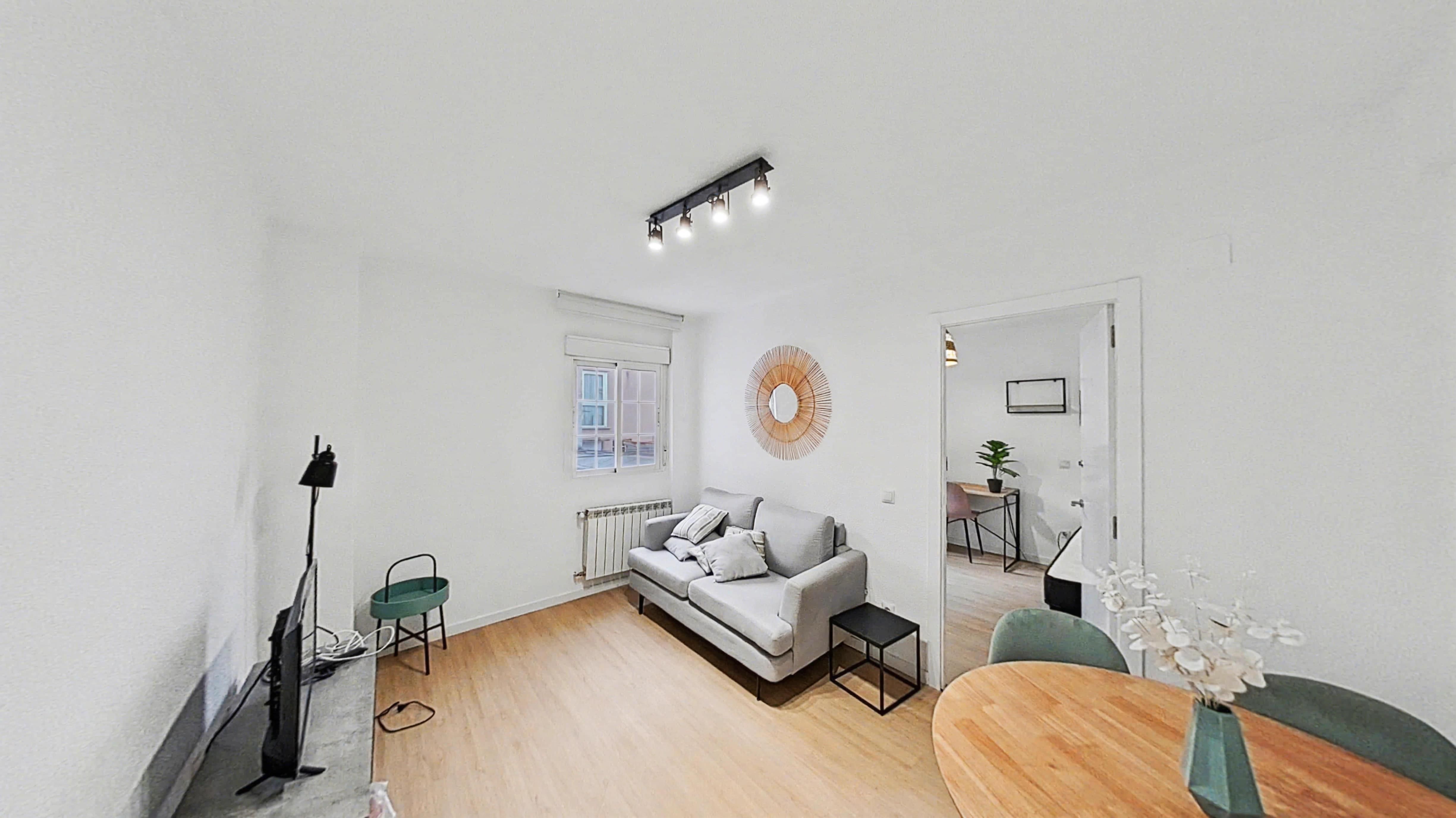 Living room of Flat to rent in  Madrid Capital  with Furnished, Washing machine and Microwave