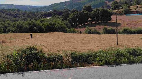 SE VENDE FINCA RÚSTICA EN BODAÑO (VILA DE CRUCES), imatge 4