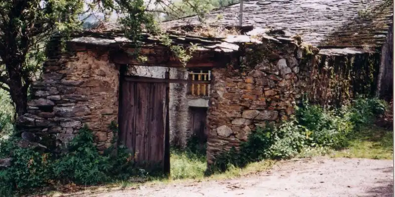 Vista exterior de Finca rústica en venta en As Nogais 