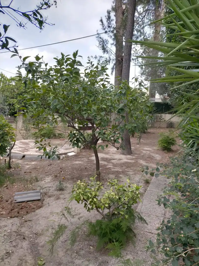 Casa amb jardí en venda a GARCÍA ROGEL, imagen 27
