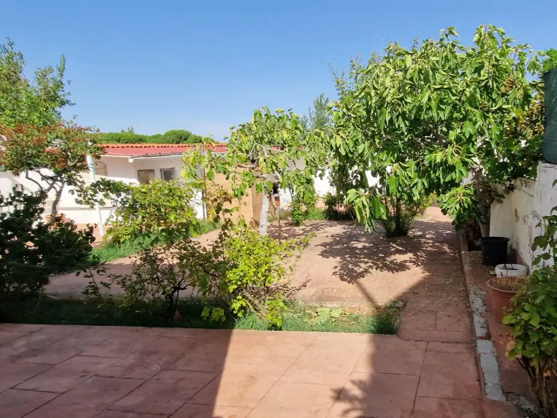 Jardí de Casa o xalet en venda en Prado de Somosaguas - La Finca