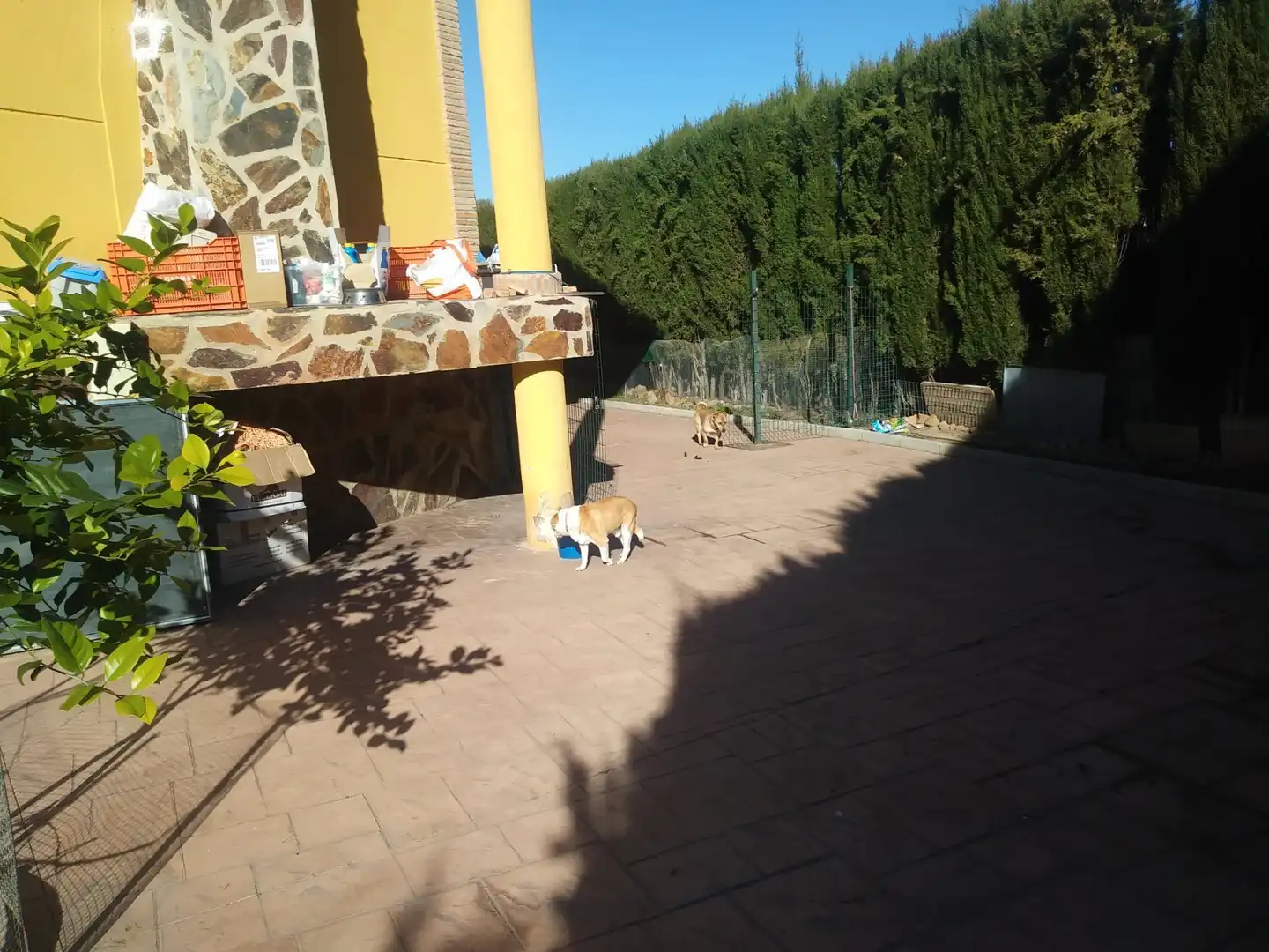 Jardí de Casa o xalet en venda en Linares amb Aire condicionat, Calefacció i Jardí privat