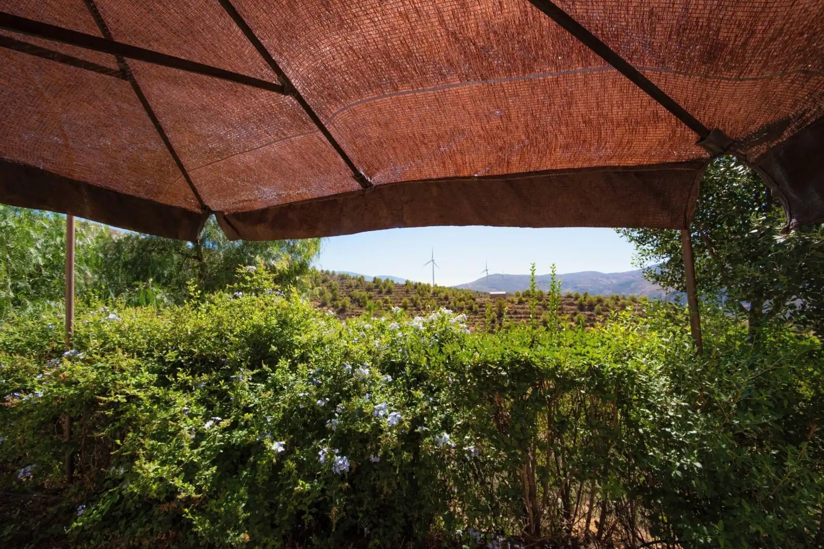 Casa rústica amb piscina en venda a El Pinar, imagen 52