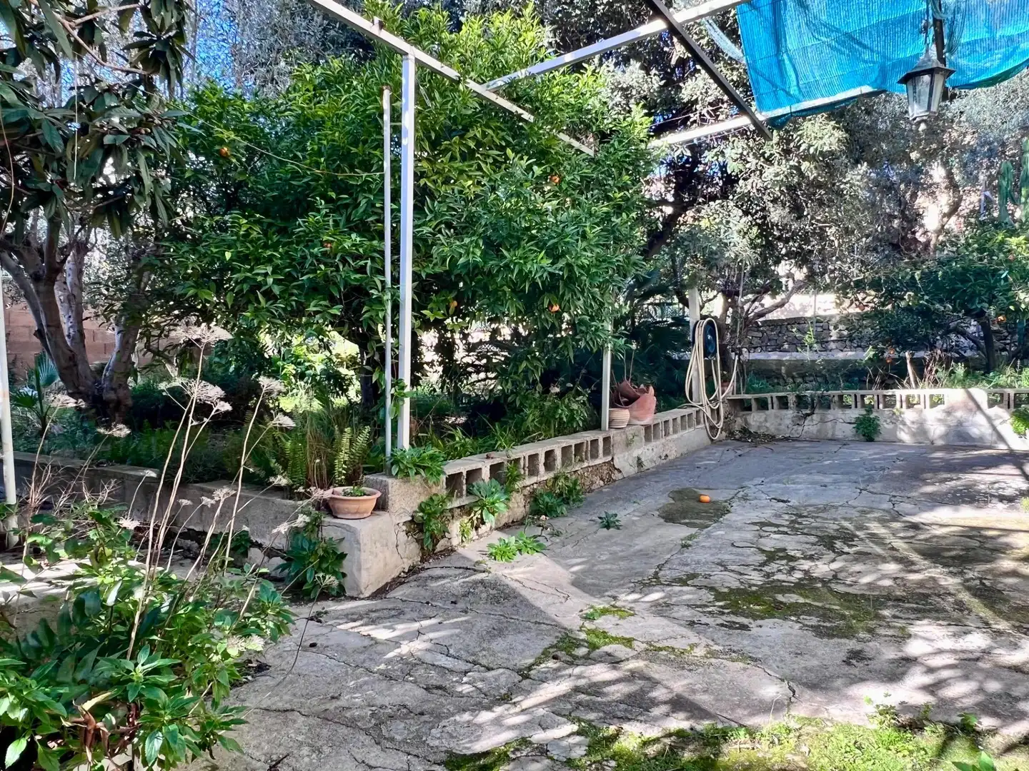Jardín de Casa o chalet en venta en Selva