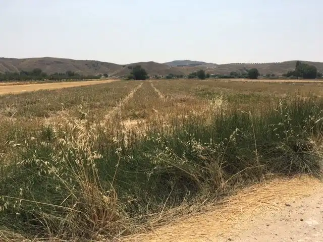 Rural land for sale in Morata de Tajuña, imagen 3