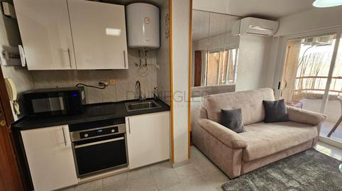 Foto 2 de Estudio de alquiler en Calle Nuestra Señora de Monserrat, Zona Playa del Cura, Torrevieja