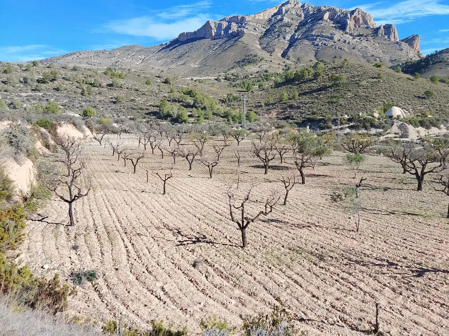 Terreno rustico in vendita a Carrer la Creu, imagen 16