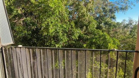 Photo 4 of Flat for rent in Carrer de San Carlos, Carolinas Bajas, Alicante / Alacant