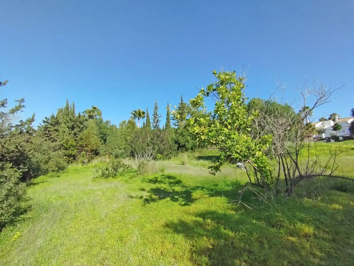 Terreni e lotti in vendita a Benamara - Atalaya, imagen 17