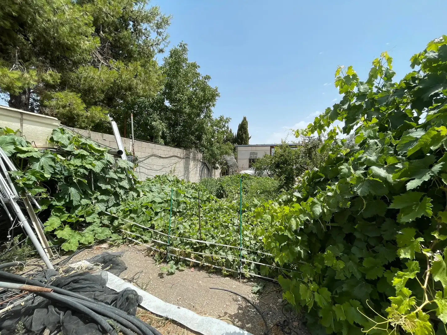 Terreno industrial en venta en Camino Bajo de Cuesta Zapata, Úbeda