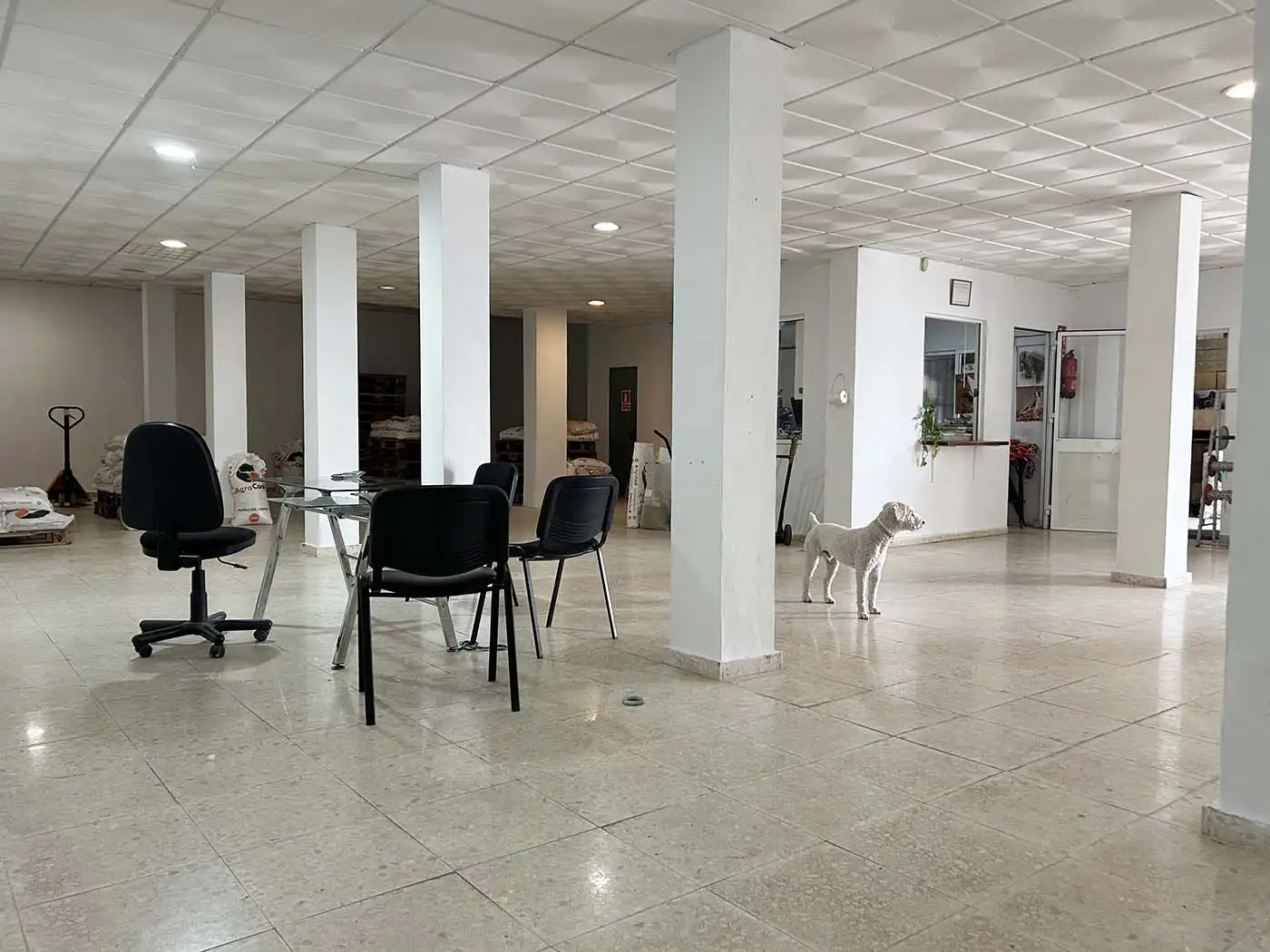 Gewerbefläche zum Verkauf in Tarifa ciudad, imagen 4