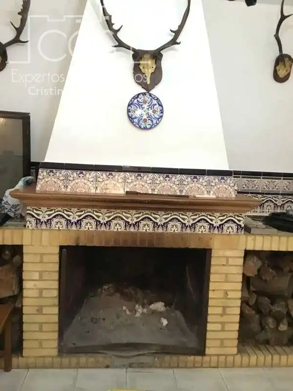 Maison à vendre à El Rocío, imagen 18