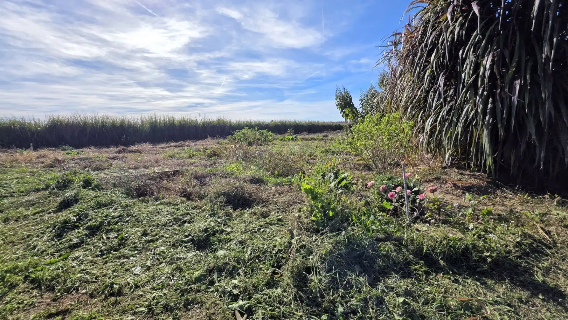 Land for sale in Valencia