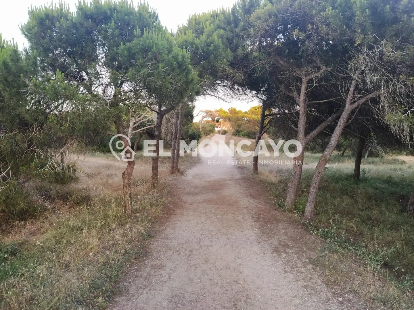 Apartament en venda a Guardamar del Segura, Alicante