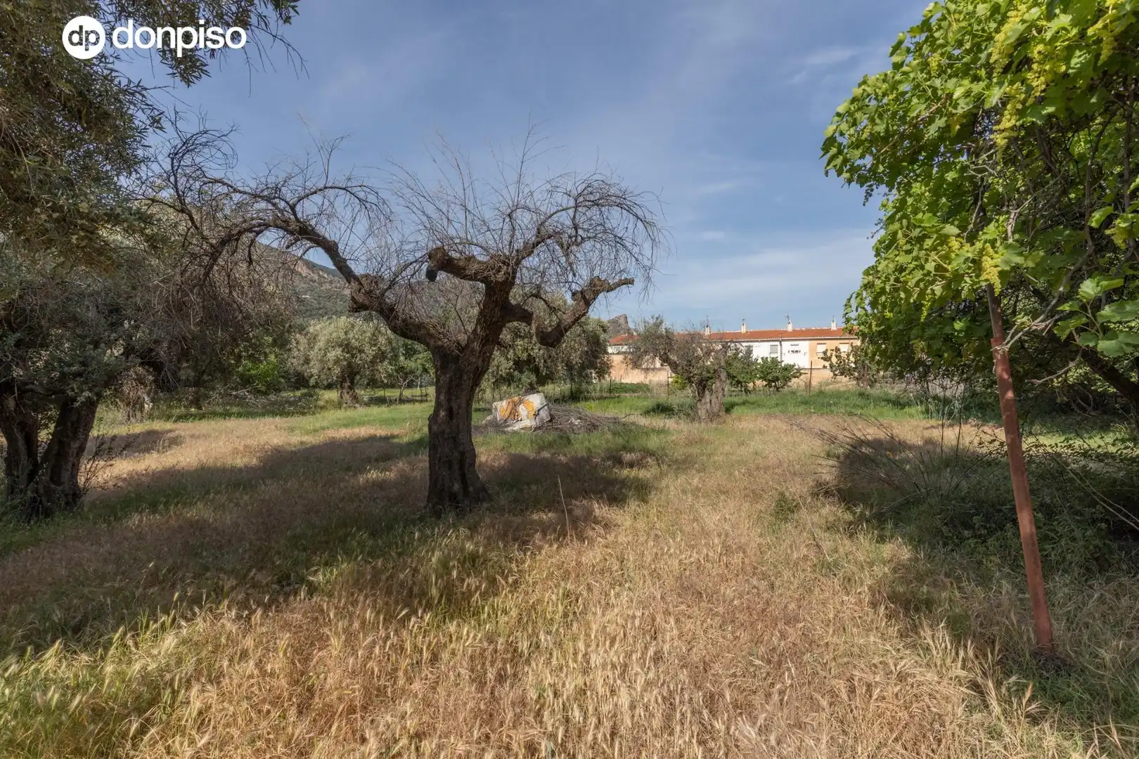 Lands and plots for sale in Carretera de Maitena, imagen 3