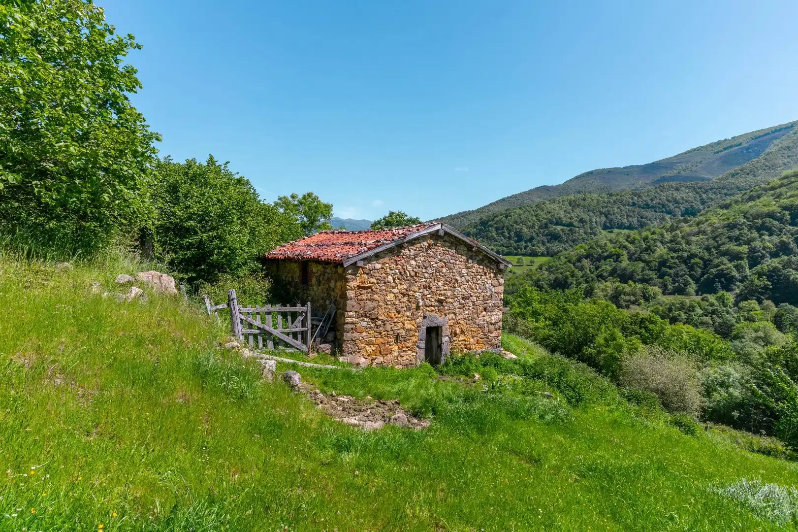 Vista exterior de Casa o chalet en venta en Quirós
