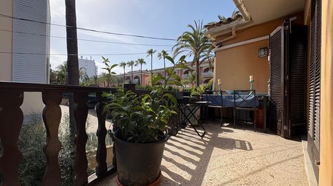 Foto 3 von Wohnungen zum Verkauf in Port d'Alcúdia - Platja d'Alcúdia, Alcúdia