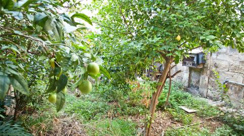 Photo 2 of Flat for sale in La Soledat Nord, Illes Balears