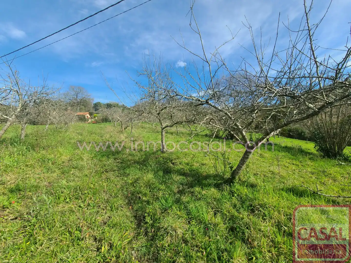 Grundstücke und Bauplätze zum Verkauf in POLIGONO 51 PARCELA 132, imagen 15