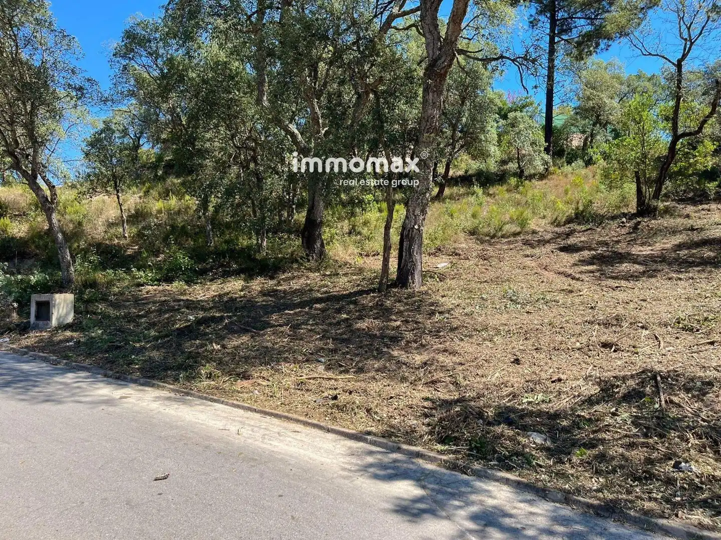 Rural land for sale in Begonia