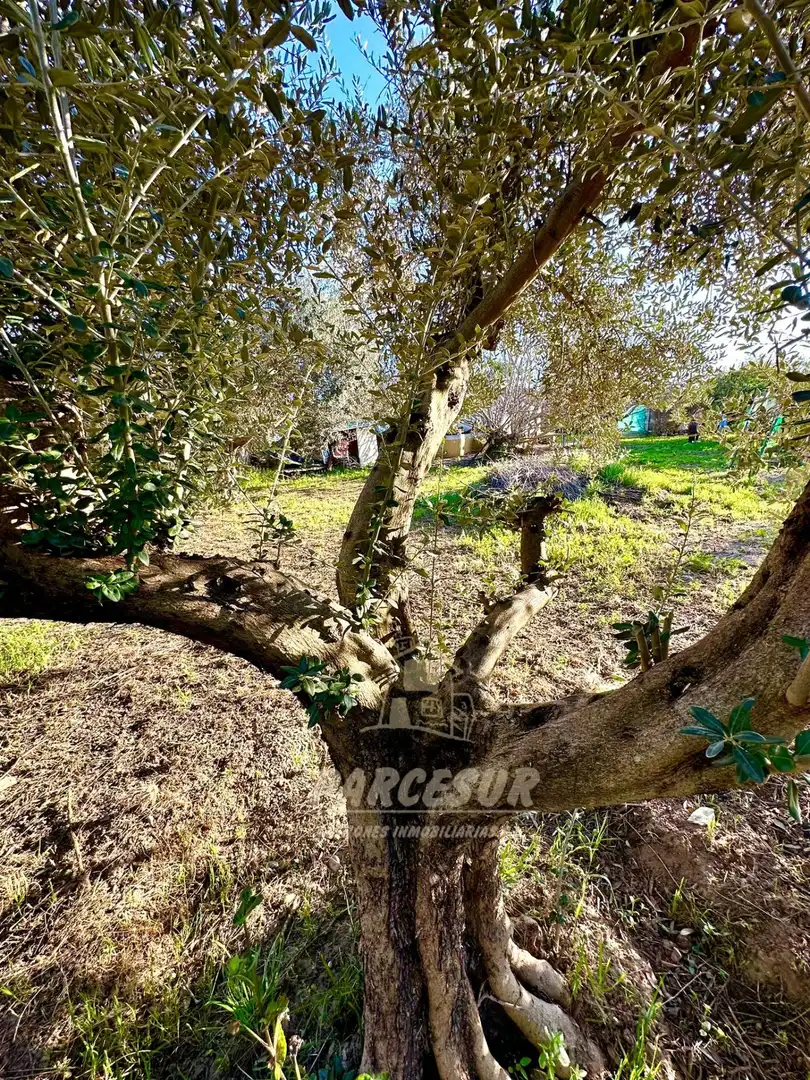 Casa en venta en Periurbano Oeste - Sierra, imagen 5