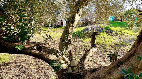 Photo 5 of House or chalet for sale in El Higuerón, Córdoba