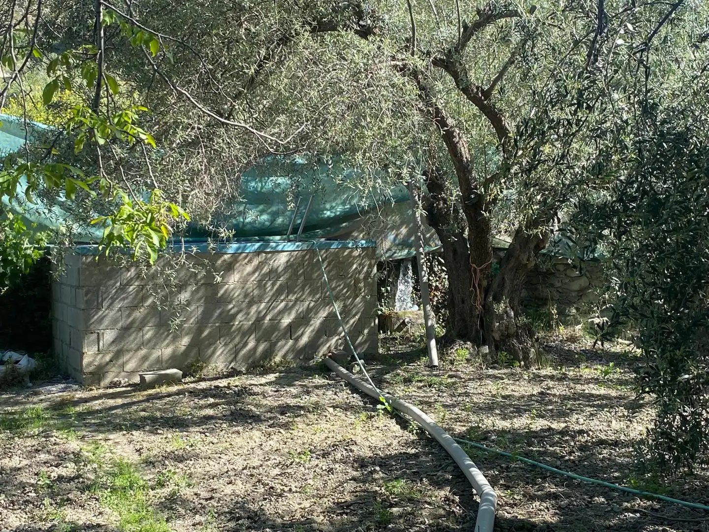 Landhaus mit Garten zum Verkauf in Monachil pueblo, imagen 2