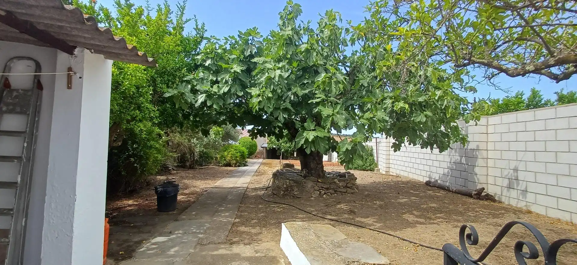 Jardí de Casa o xalet en venda en Cheles amb Terrassa, Traster i Balcó