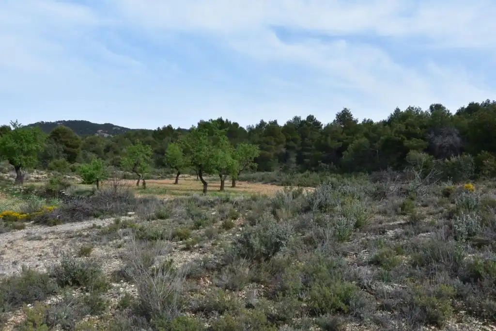 Country homes for sale in Ráfales