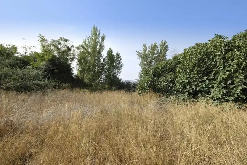 Terreni e lotti in vendita a Padul, imagen 12