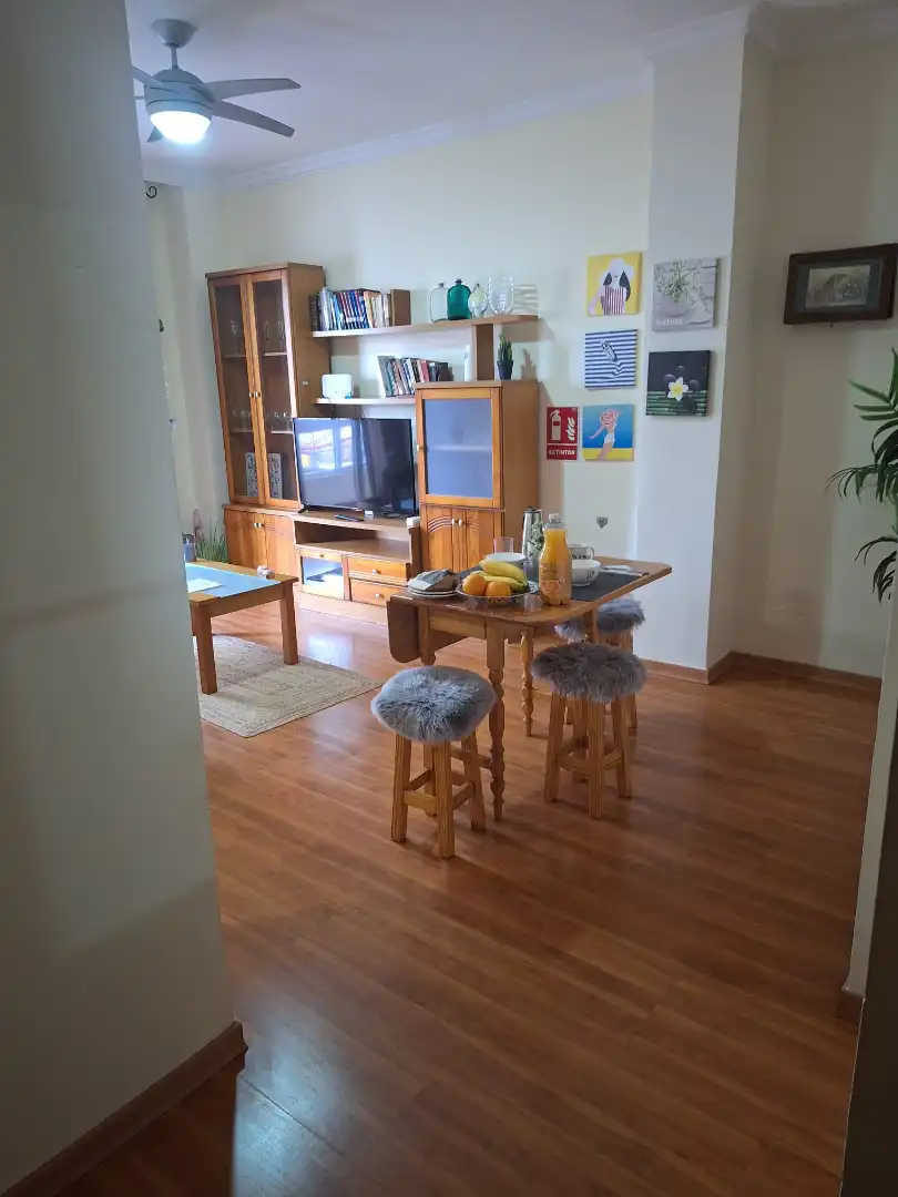 Living room of Apartments for rent in Las Palmas de Gran Canaria  with Parquet flooring, Furnished and Washing machine